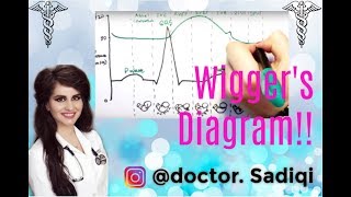 Wiggers Diagram EXPLAINED WITHIN 3 MINUTES [upl. by Aihsia]