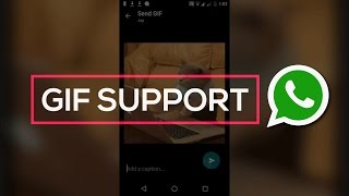 How to Enable GIF support on WhatsApp 😎 [upl. by Sasha]