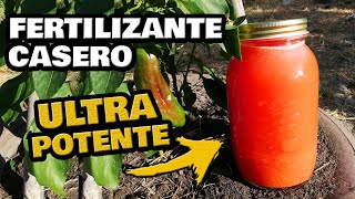 Fertilizante CASERO ¡ULTRA POTENTE Más Frutos y Más Flores  Abono Casero para Plantas y Cítricos [upl. by Sieber]