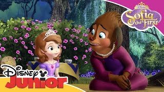 Sofia the First  Princess Charlotte  Official Disney Junior Africa [upl. by Chill]