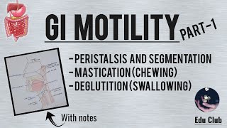 GI Motility Part  1  Chewing Reflex  Deglutition  Gastrointestinal Physiology [upl. by Arliene536]