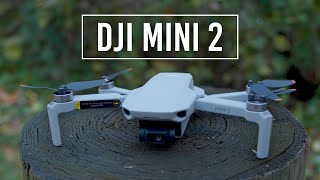 DJI Mini 2 Drone  Handson Review [upl. by Heathcote878]