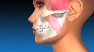 TMJ Explanation amp Therapy [upl. by Jen]