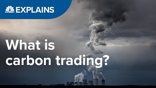 What is carbon trading  CNBC International [upl. by Andel]