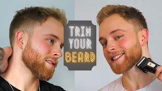 How To Trim Your Beard [upl. by Ydarg647]