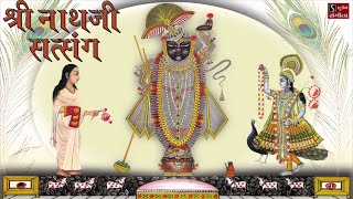 Shrinathji Satsang  Top 20 Songs  Beautiful Collection of Most Popular Shrinathji Songs [upl. by Aiekal]