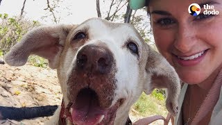 Dog Who Spent 7 Years In The Shelter Is SO Happy To Have A Family  The Dodo Faith  Restored [upl. by Colton]