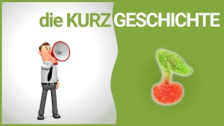 die Kurzgeschichte  Merkmale  DiB [upl. by Sheela]