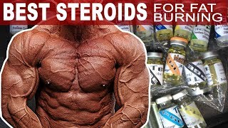 The Best Steroids For Burning Fat [upl. by Ogaitnas398]