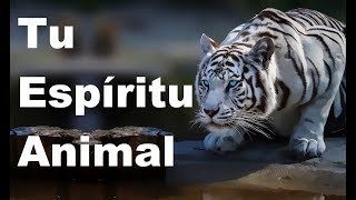 Tu Espíritu Animal Según tu Signo del Zodiaco viral viralvideo [upl. by Cohdwell]