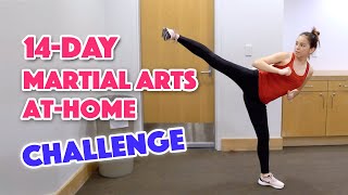 14Day Martial Arts Workout Challenge Day 1 [upl. by Durham97]