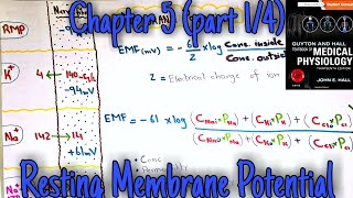 Resting membrane potential  chapter 5 part 14  Guyton and hall text book of medical physiology [upl. by Charo]