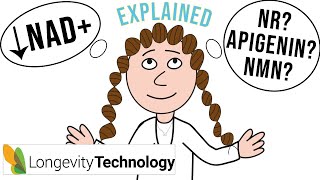 NAD metabolism in aging amp 3 strategies to rejuvenate [upl. by Inalem]