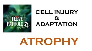 CELL INJURY amp ADAPTATIONS PATHOLOGY ATROPHY [upl. by Treve]