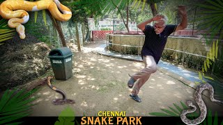 SNAKE outside SNAKE PARK  Chennai Snake Park 🐍 [upl. by Neerod653]