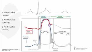 Left Ventricular PressureTime Curve [upl. by Matilda]