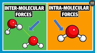 Intermolecular Forces and Intramolecular Forces  Chemistry [upl. by Cully]