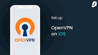 How to set up OpenVPN on iOS iPhoneiPad [upl. by Annoik227]