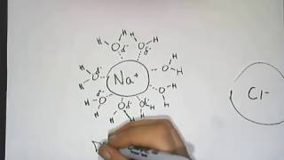 IonDipole Intermolecular Forces [upl. by Ruamaj]