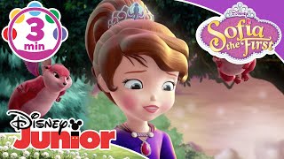 Sofia the First  Bravest Bunny Song 🎶  Disney Kids [upl. by Wun]