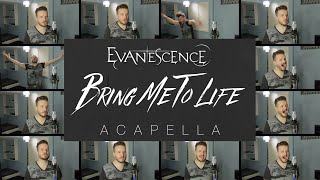 Bring Me To Life ACAPELLA  Evanescence [upl. by Orodoet]